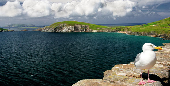 Discover landscape of Ireland during your summer courses in Cork