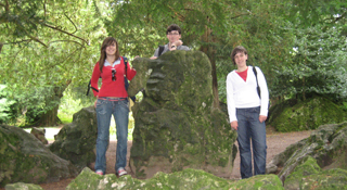 American and Canadian students in Ireland during their summer courses